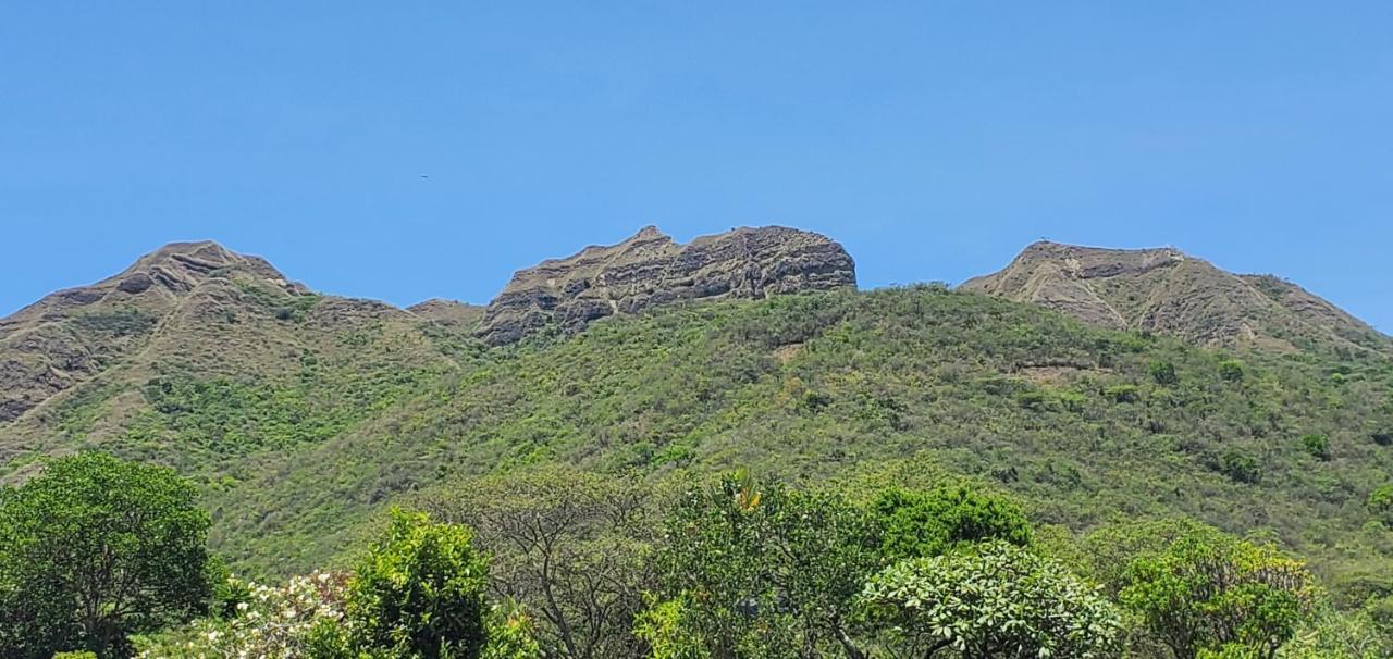 In The Heart Of Vilcabamba House Don Tuquitoアパートメント エクステリア 写真